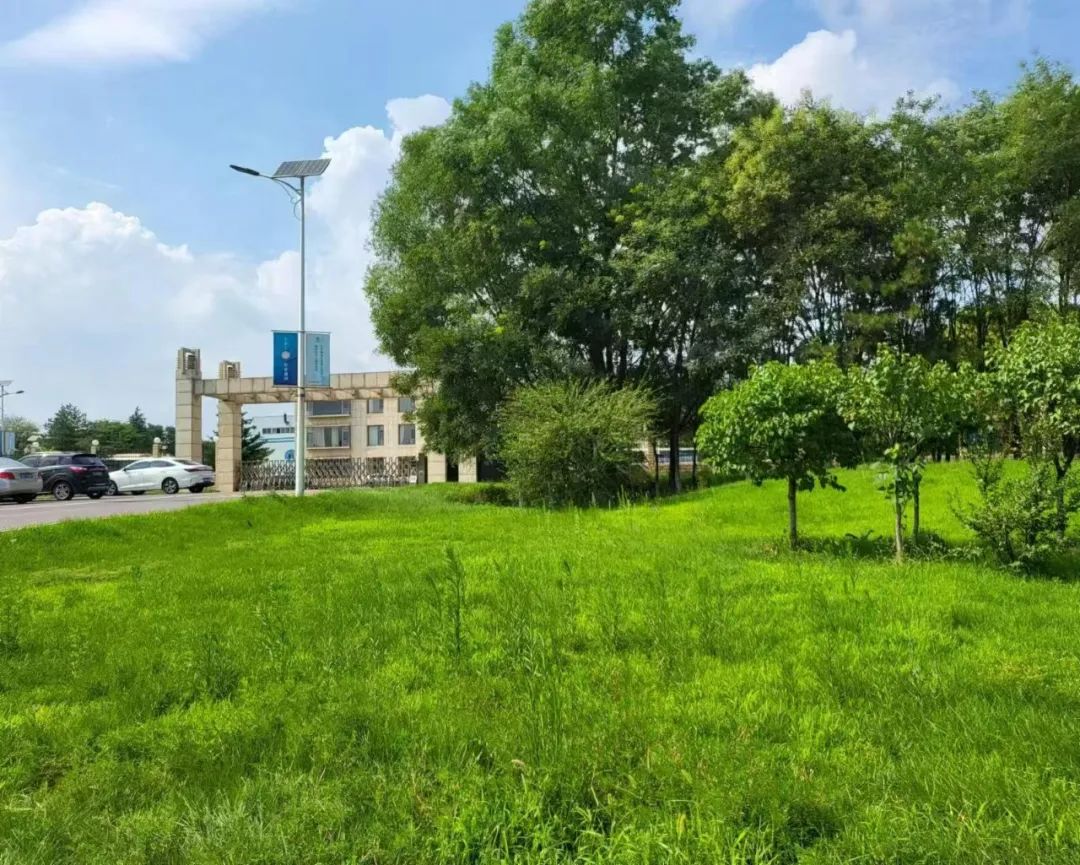 1737355304699806.jpg 1737355304699806.jpg